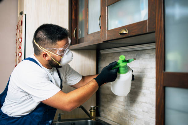 Best Exterminator Services  in Fredonia, AZ
